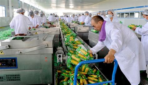 最新！安徽将实施农产品加工业“五个一批”工程_发展