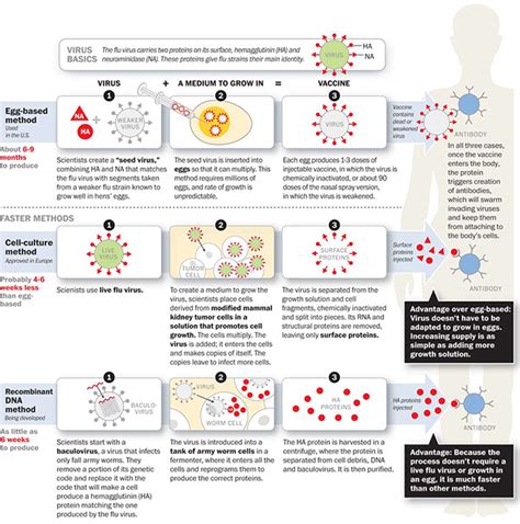 Nature图解新冠病毒疫苗研发策略，中国疫苗研发走在世界前沿-观察-生物探索