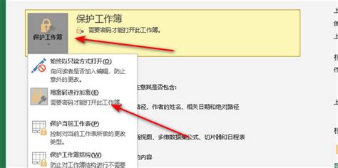 excel加密文件怎么取消密码 excel加密文件忘记了密码怎么办-Microsoft 365 中文网