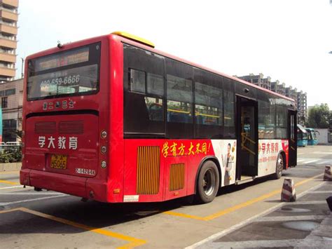 广州市公交车219有没有夜班车-