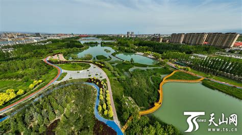 新疆博乐人民公园改造设计 林下广场