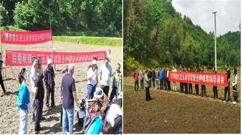 西乡县农技中心 积极开展大豆玉米带状复合种植培训