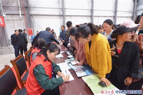 “吴兴-青川”东西部劳务协作招聘158人达成就业意向_县域经济网