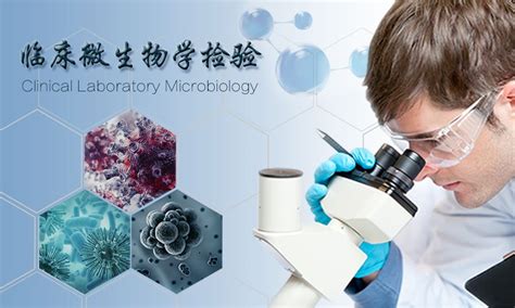 药用辅料及微生物检测_微谱_大型研究型检测机构