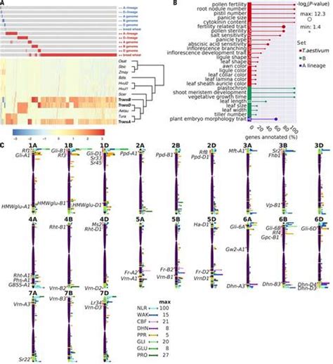 滇龙胆 GrGPPS 基因的克隆及其序列分析与原核表达