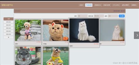 国内十大权威宠物交易网站，淘宝上榜，第一是全球最大中文宠物网站(2)_排行榜123网