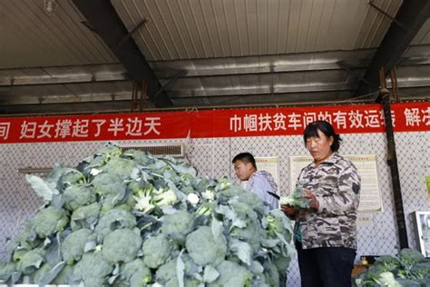 河南一地推出29元55斤重的“蔬菜包”，第一书记深夜在线接单 | 大河助农-大河新闻