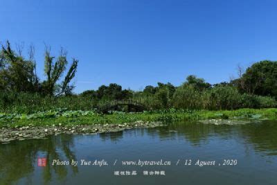 新疆博州：海西草原夏日风光美-人民图片网