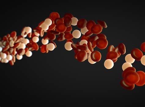 3D医学血管内血液流动视频素材视频特效素材-千库网