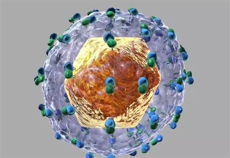 合胞病毒到底是什么 合胞病毒感染如何治疗 _八宝网