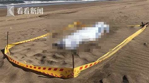 山坡女尸案告破！江苏警方抓获19年前命案嫌疑人