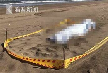 山西黄河滩边发现一具无名女尸 的图像结果