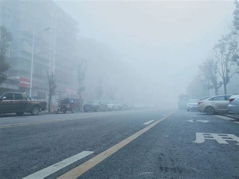 “寒潮+大雾” 双预警齐发，这些地方或有10℃降温！_澎湃号·政务_澎湃新闻-The Paper