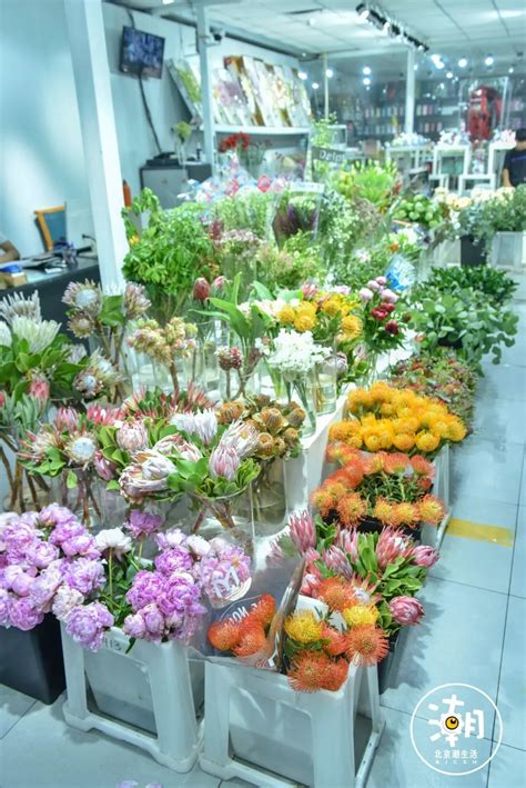全球最大的鲜花拍卖市场：一天卖出1500万朵花，全程智能化