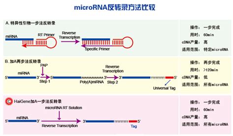 科学网—miRNA研究分析方法整理 - 刘静的博文