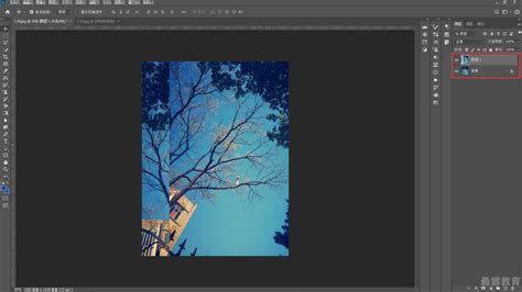 Photoshop2020教程——Adobe PDF 预设 - 最需教育