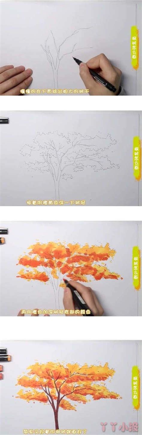 枫叶植物简笔画图片 枫叶怎么画- 老师板报网