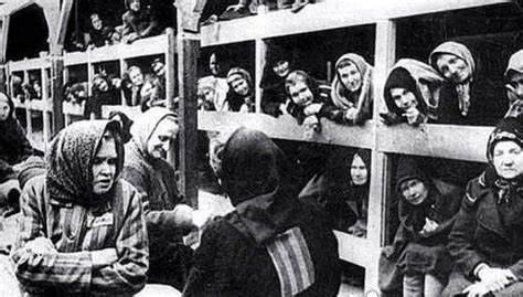 二战德国纳粹女兵虐杀犹太妇女，战败后她们都被判处绞刑