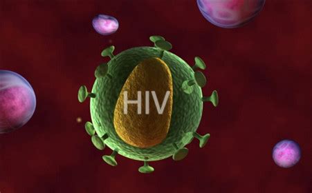 艾滋病病毒2型(HIV-2)介绍_艾滋病_健康一线