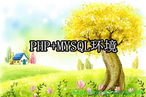 iis php mysql配置安装教程（搭建PHP+MYSQL环境）-SEO培训小小课堂