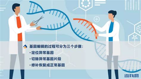 CRISPR/Cas9基因编辑技术大热，非病毒载体技术助力递送系统优化 – 肽度TIMEDOO