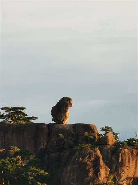 黄山奇石猴子观海图片