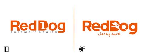 网红狗“糯米”下楼送水杯视频引发围观，主人被罚款500元！原因是…… - 周到上海