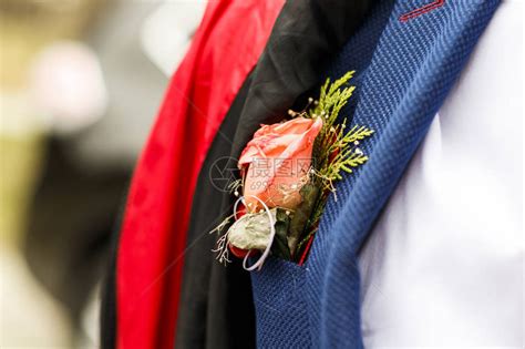 一个穿西装的年轻人口袋里有红玫瑰特高清图片下载-正版图片505628168-摄图网