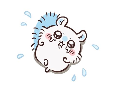 可爱小哇图片