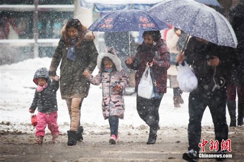 南京暴雪升级 民众出行困难-大河网