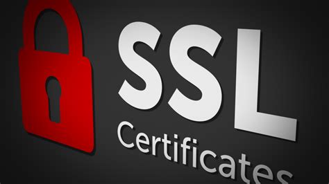如何安装SSL证书到网站？几个步骤申请和安装SSL证书-老部落