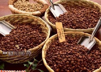 星巴克咖啡豆种类13种推荐哪种好口感区别 星巴克最好喝手冲美式咖啡豆品种 中国咖啡网
