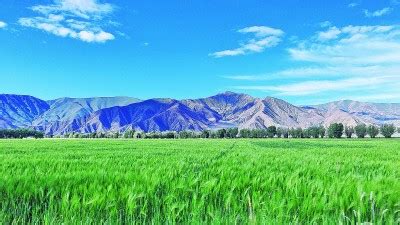 西藏阿里地区市场监管局公示2021年阿里地区食用农产品抽检合格信息-中国质量新闻网