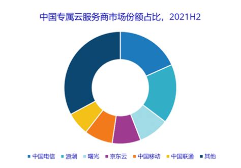 中国云运营服务商市场份额，中国电信占比位居首位-新闻资讯-天翼云