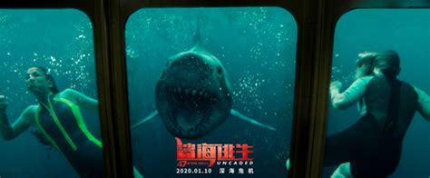 冒险灾难片《鲨海逃生》1月10日上映 引爆极致惊险体验-半岛网