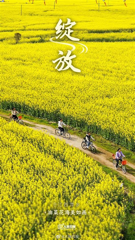 一路繁花一路春！春天里的中国自带氛围感__财经头条