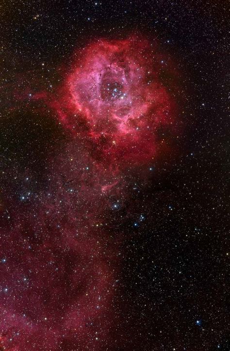 NGC2237号玫瑰星云图片