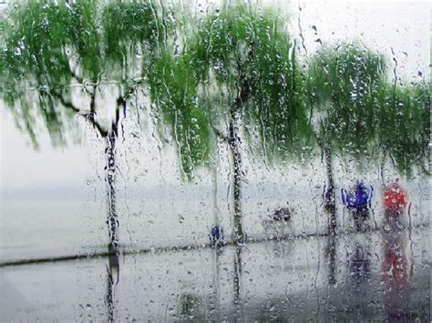 雨景被雨困住的城市图片 雨景被雨困住的城市图片