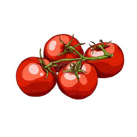 彩色西红柿高清图片下载_红动中国