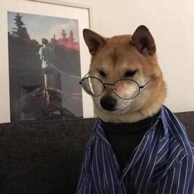 宠物男头男头酷图片