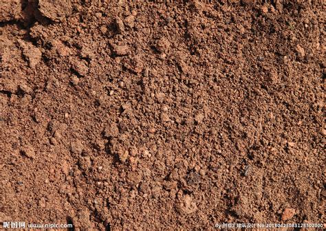 破碎沙子上的轮胎土壤覆盖高清图片下载-正版图片306843903-摄图网