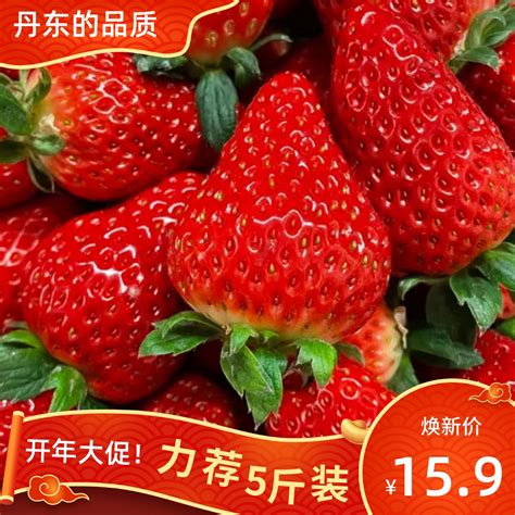 现摘大凉山草莓新鲜红颜奶油草莓九九应季孕妇水果5斤露天包邮-淘宝网