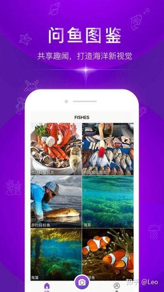 苹果app可以拍照识别鱼类的有哪几款？