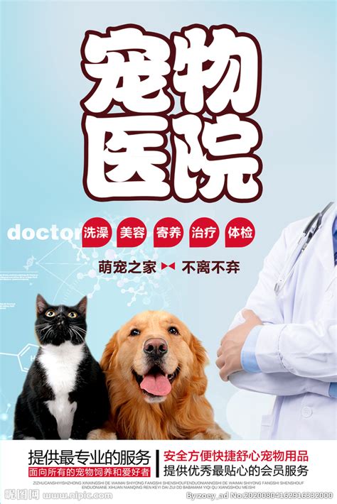 宠物医院海报设计图__海报设计_广告设计_设计图库_昵图网nipic.com