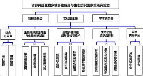 组织架构-重庆大学基础化学实验教学中心主页