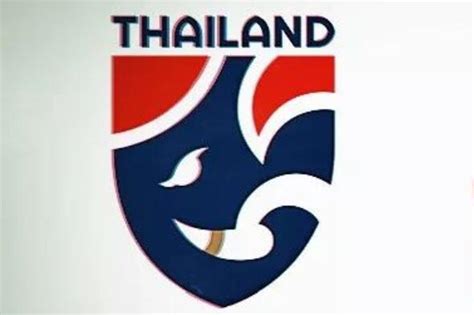 1-5惨败泰国，范志毅当年在采访中怒喷中国足球：脸都不要了！_新浪新闻