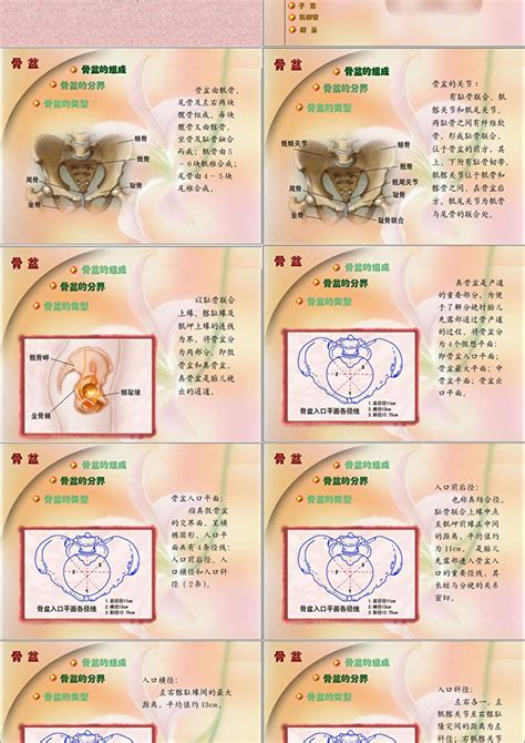 女性生理-生殖系统器官----彩图照片写实。男性勿看。ppt模板-PPT鱼模板网