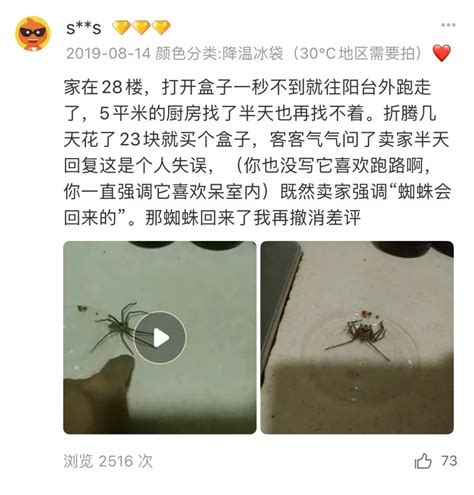 蜘蛛养殖培训、金龙康、甘肃蜘蛛养殖_技术合作_第一枪