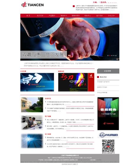 香港瑞安绝缘材料网站设计-天川和信设计公司