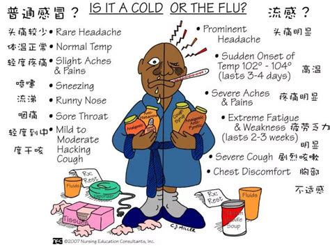 流感=普通感冒流行=流行性感冒？